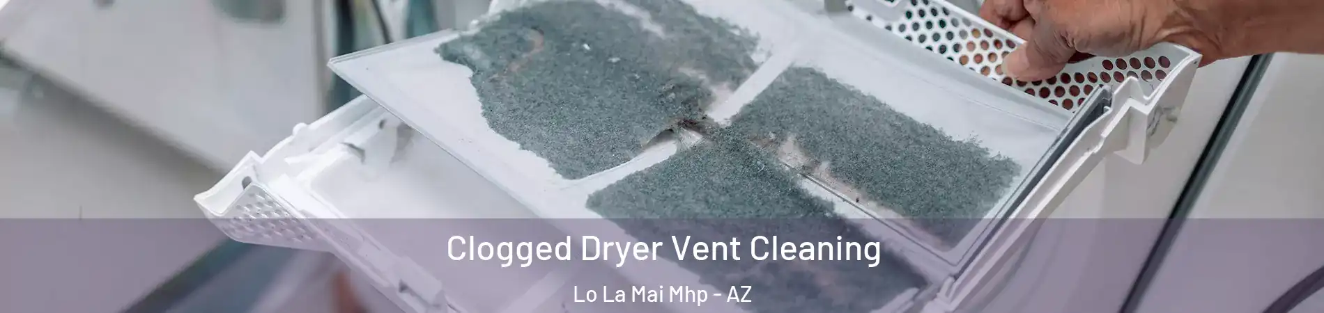 Clogged Dryer Vent Cleaning Lo La Mai Mhp - AZ