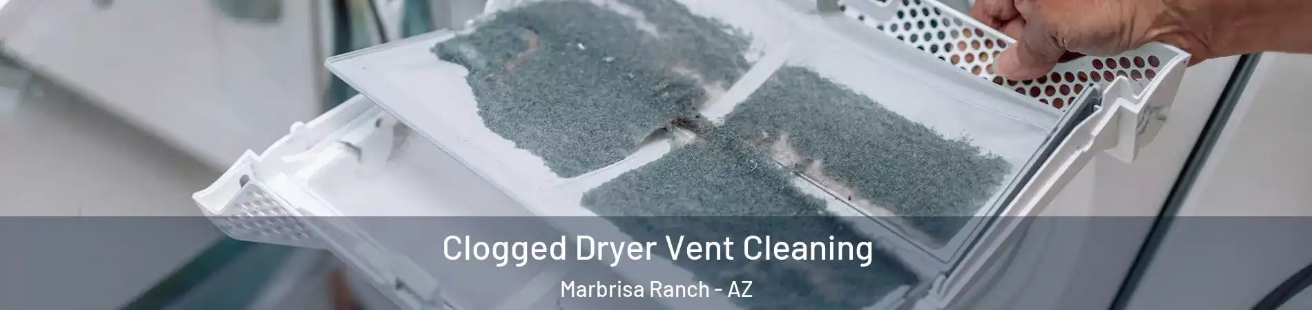 Clogged Dryer Vent Cleaning Marbrisa Ranch - AZ