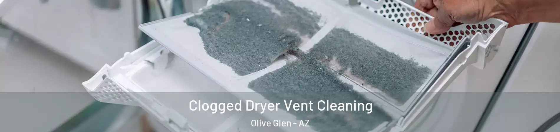 Clogged Dryer Vent Cleaning Olive Glen - AZ