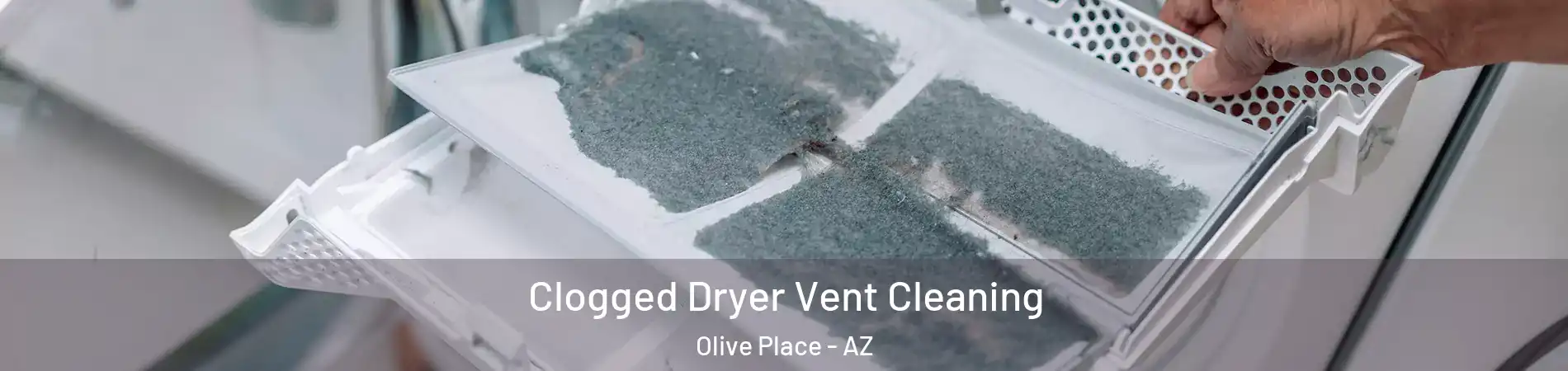 Clogged Dryer Vent Cleaning Olive Place - AZ