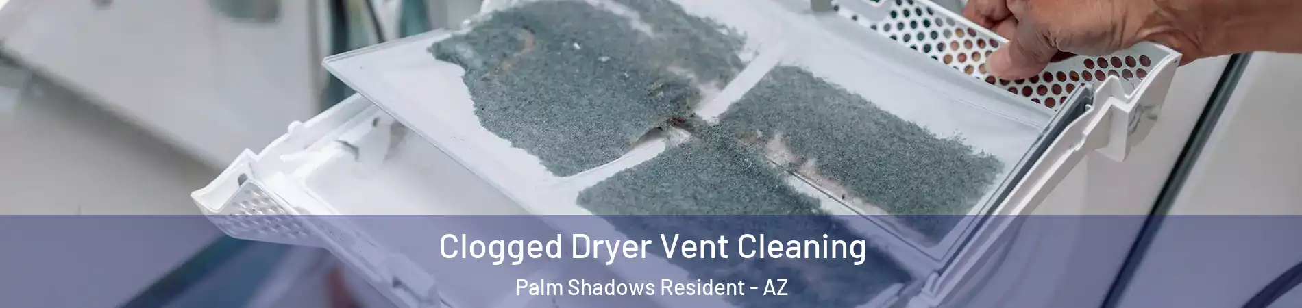 Clogged Dryer Vent Cleaning Palm Shadows Resident - AZ