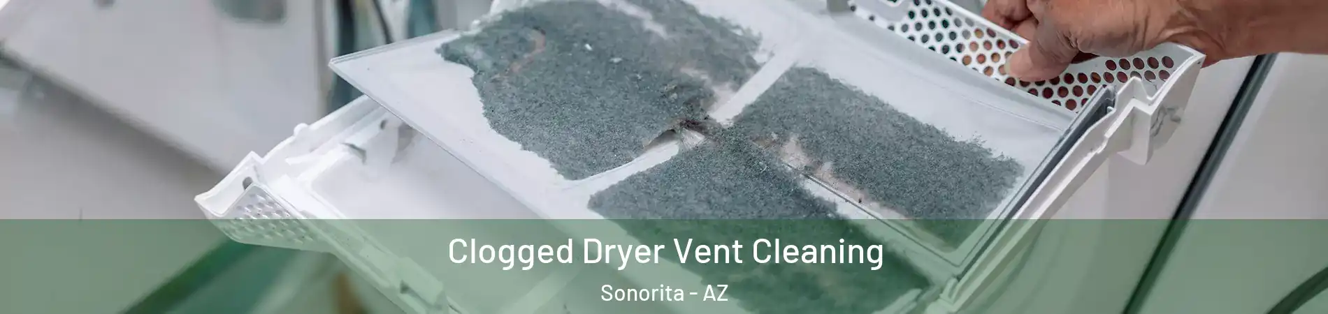 Clogged Dryer Vent Cleaning Sonorita - AZ