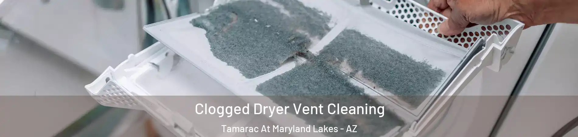 Clogged Dryer Vent Cleaning Tamarac At Maryland Lakes - AZ