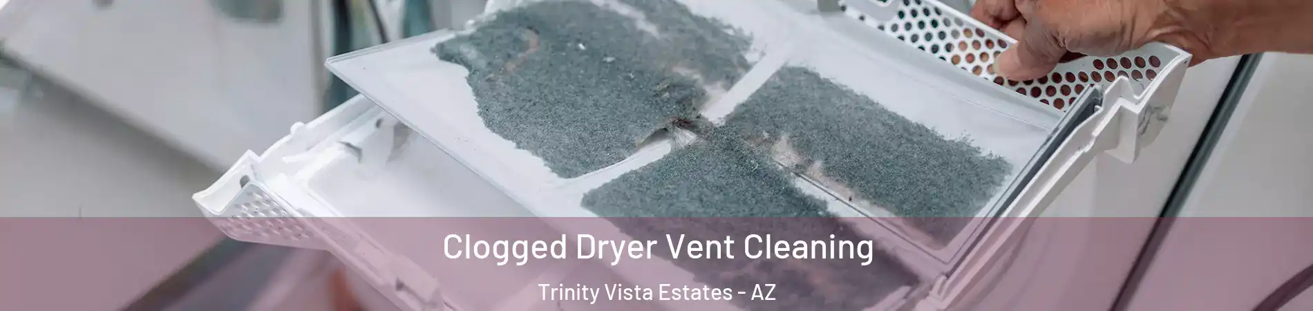 Clogged Dryer Vent Cleaning Trinity Vista Estates - AZ