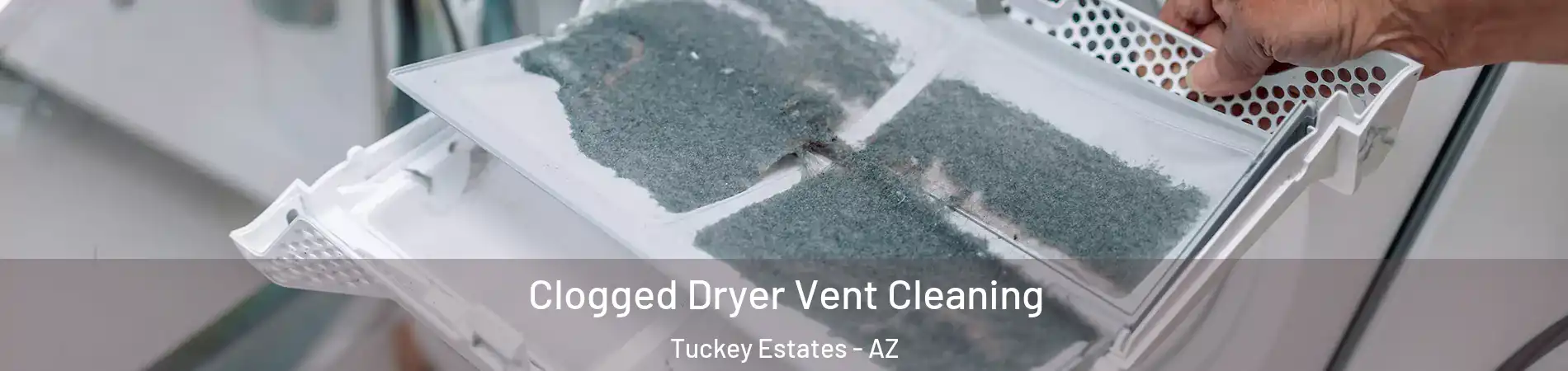 Clogged Dryer Vent Cleaning Tuckey Estates - AZ
