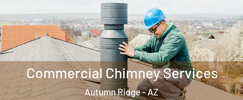 Commercial Chimney Services Autumn Ridge - AZ