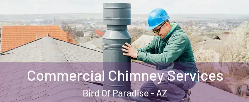 Commercial Chimney Services Bird Of Paradise - AZ