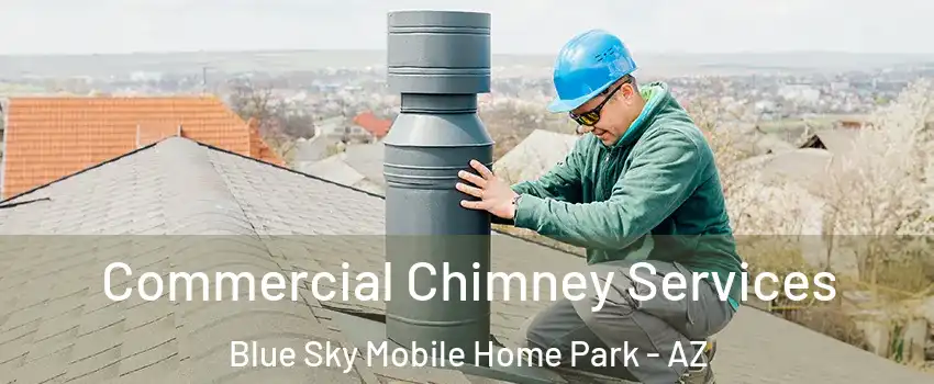 Commercial Chimney Services Blue Sky Mobile Home Park - AZ