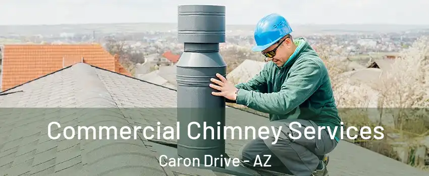 Commercial Chimney Services Caron Drive - AZ