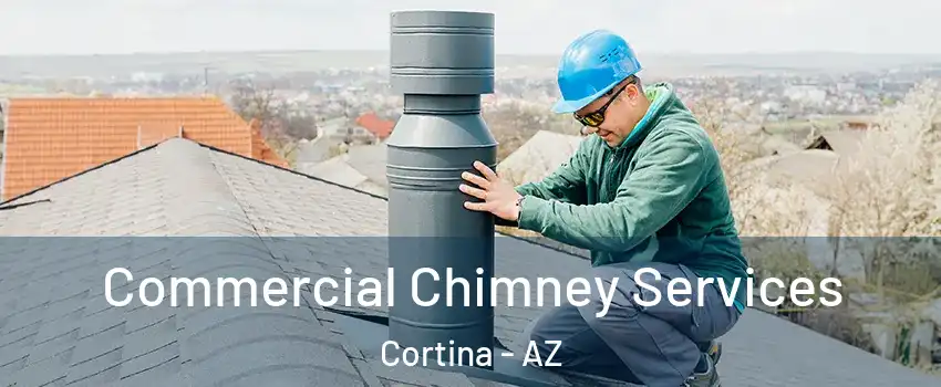 Commercial Chimney Services Cortina - AZ
