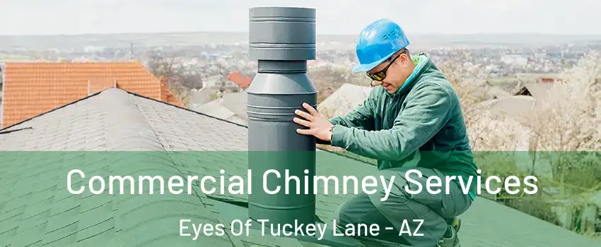 Commercial Chimney Services Eyes Of Tuckey Lane - AZ