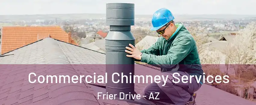 Commercial Chimney Services Frier Drive - AZ