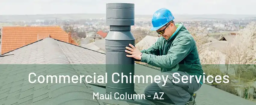 Commercial Chimney Services Maui Column - AZ
