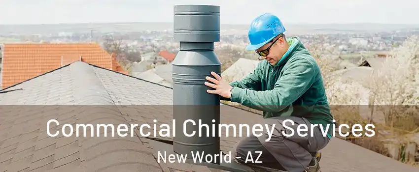 Commercial Chimney Services New World - AZ