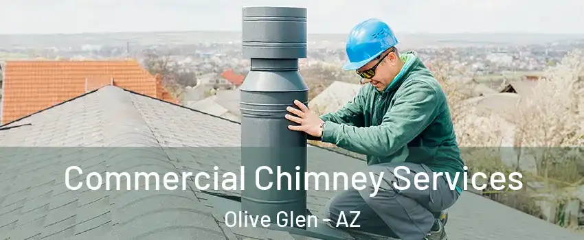 Commercial Chimney Services Olive Glen - AZ