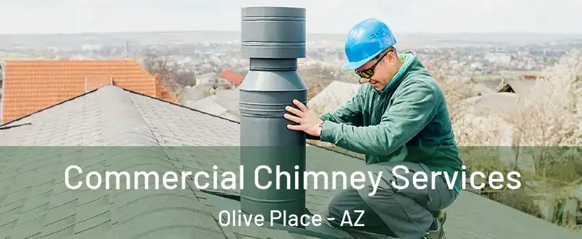 Commercial Chimney Services Olive Place - AZ