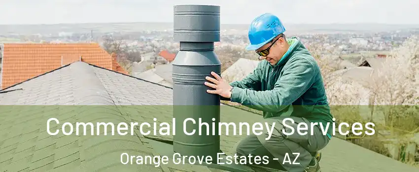 Commercial Chimney Services Orange Grove Estates - AZ