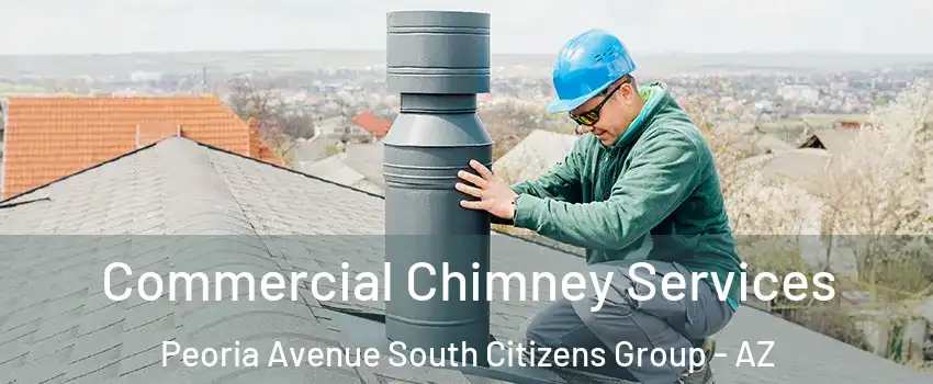 Commercial Chimney Services Peoria Avenue South Citizens Group - AZ