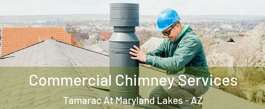 Commercial Chimney Services Tamarac At Maryland Lakes - AZ