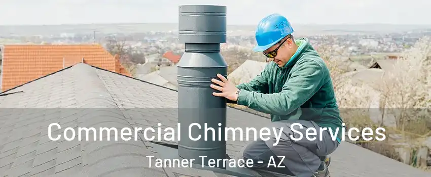 Commercial Chimney Services Tanner Terrace - AZ