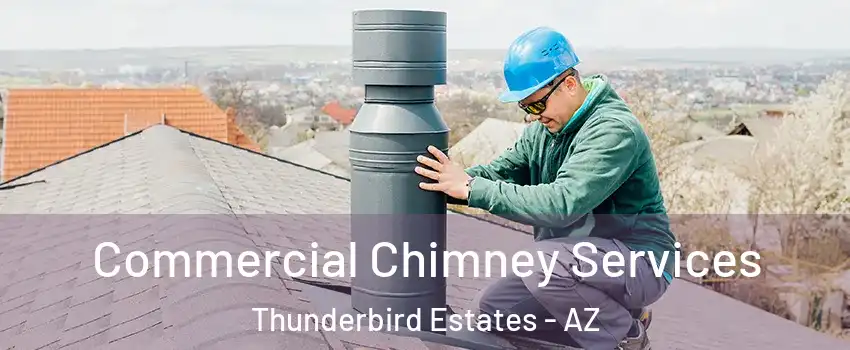 Commercial Chimney Services Thunderbird Estates - AZ