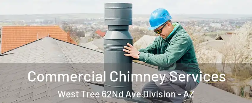 Commercial Chimney Services West Tree 62Nd Ave Division - AZ