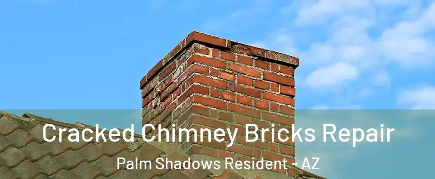 Cracked Chimney Bricks Repair Palm Shadows Resident - AZ
