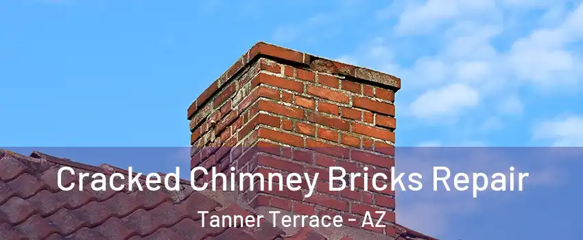 Cracked Chimney Bricks Repair Tanner Terrace - AZ