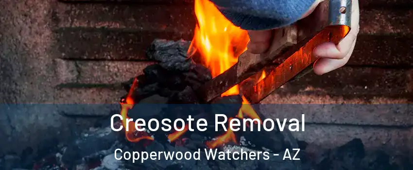 Creosote Removal Copperwood Watchers - AZ