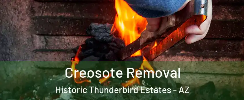 Creosote Removal Historic Thunderbird Estates - AZ