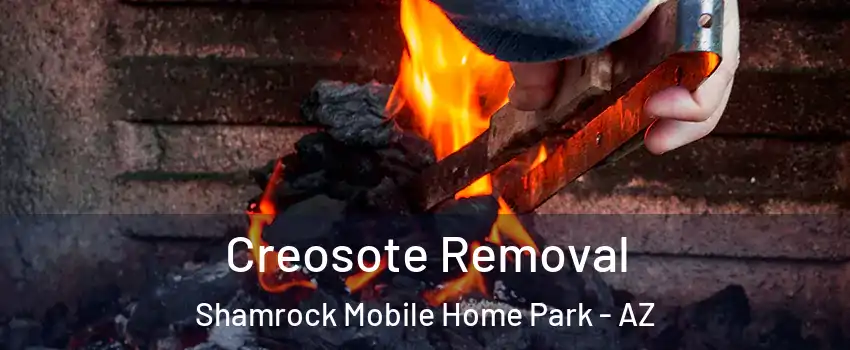 Creosote Removal Shamrock Mobile Home Park - AZ