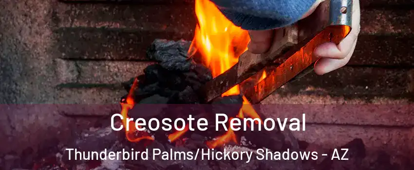 Creosote Removal Thunderbird Palms/Hickory Shadows - AZ