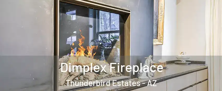 Dimplex Fireplace Thunderbird Estates - AZ