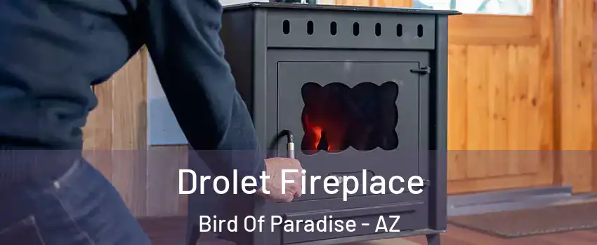 Drolet Fireplace Bird Of Paradise - AZ