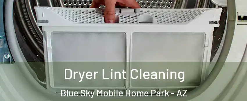 Dryer Lint Cleaning Blue Sky Mobile Home Park - AZ