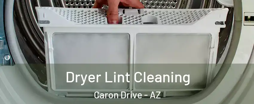 Dryer Lint Cleaning Caron Drive - AZ