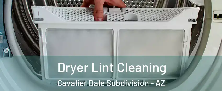 Dryer Lint Cleaning Cavalier Dale Subdivision - AZ