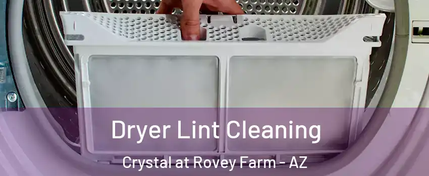 Dryer Lint Cleaning Crystal at Rovey Farm - AZ