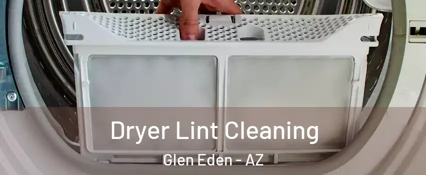 Dryer Lint Cleaning Glen Eden - AZ