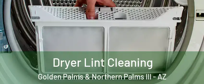Dryer Lint Cleaning Golden Palms & Northern Palms III - AZ
