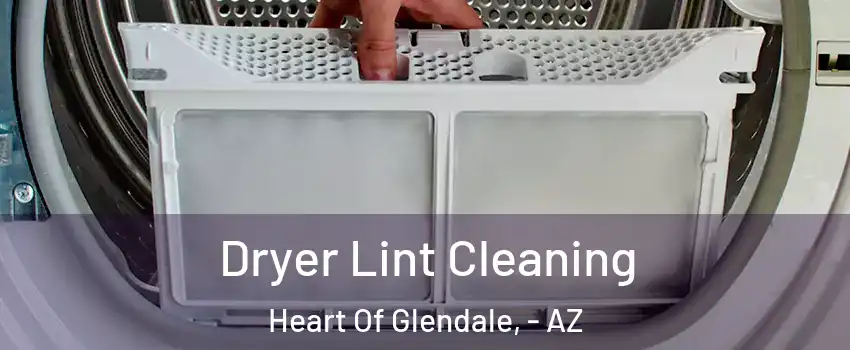 Dryer Lint Cleaning Heart Of Glendale, - AZ