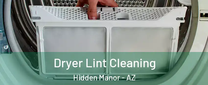 Dryer Lint Cleaning Hidden Manor - AZ