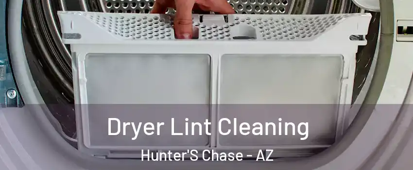 Dryer Lint Cleaning Hunter'S Chase - AZ