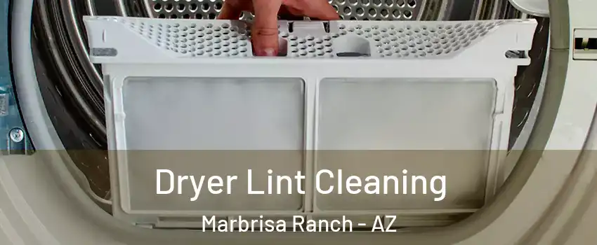 Dryer Lint Cleaning Marbrisa Ranch - AZ