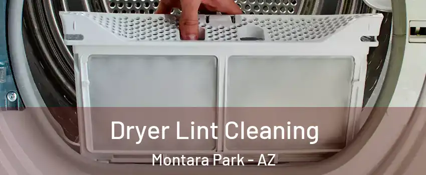 Dryer Lint Cleaning Montara Park - AZ