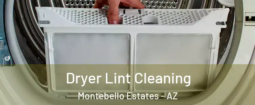 Dryer Lint Cleaning Montebello Estates - AZ