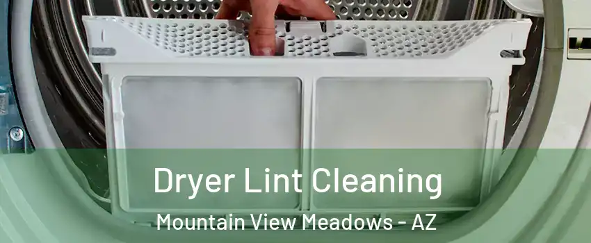 Dryer Lint Cleaning Mountain View Meadows - AZ