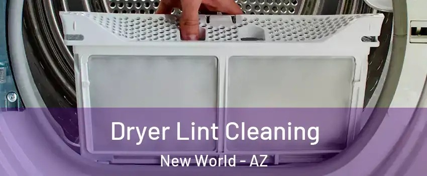 Dryer Lint Cleaning New World - AZ