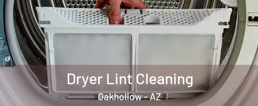 Dryer Lint Cleaning Oakhollow - AZ
