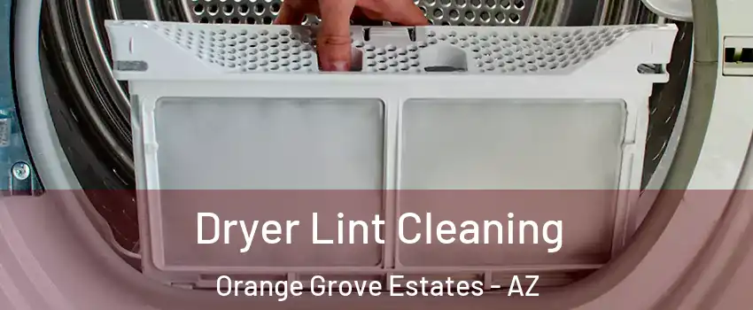Dryer Lint Cleaning Orange Grove Estates - AZ